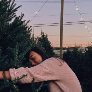 Outside Removal - New Year DUBLIN ONLY Christmas Tree Removal Service