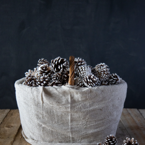 White Fir Cones - Pack of 10 (5-8cm)