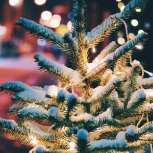 Inside Removal - New Year DUBLIN ONLY Christmas Tree Removal Service