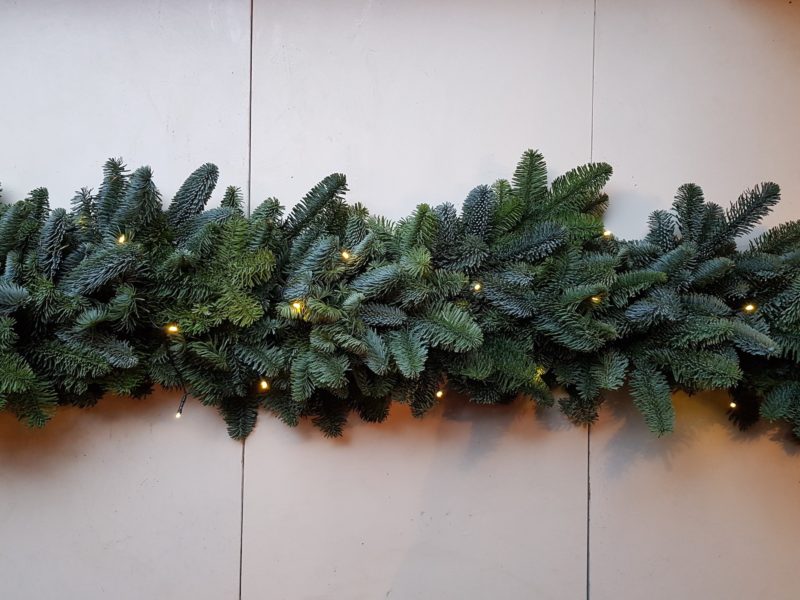 garland plain lights only-min