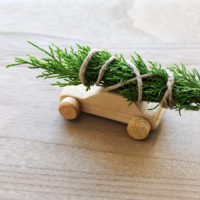christmas-tree-on-toy-car