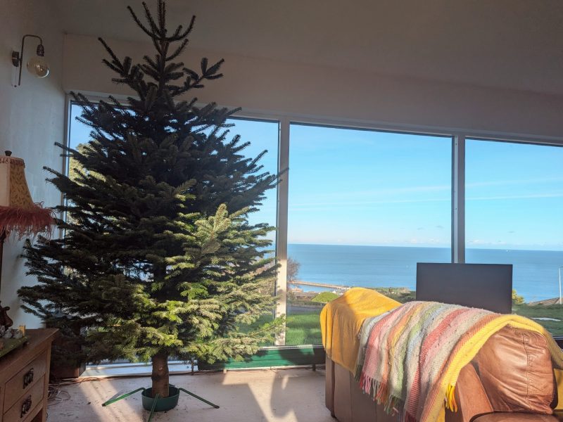 PXL_20241122_125534522~2