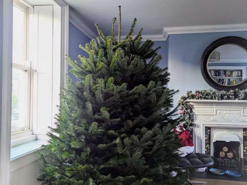 PXL_20241122_152047444~2